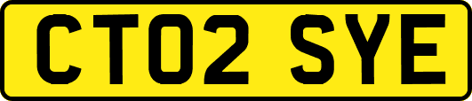 CT02SYE