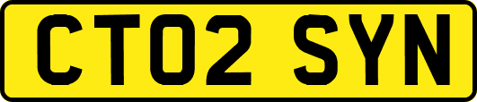 CT02SYN