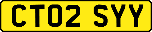 CT02SYY