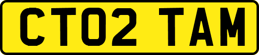 CT02TAM