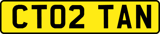 CT02TAN