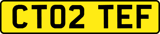 CT02TEF