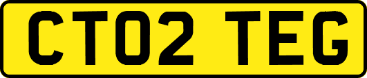 CT02TEG