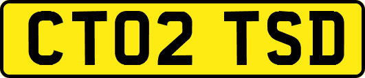 CT02TSD