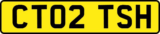 CT02TSH