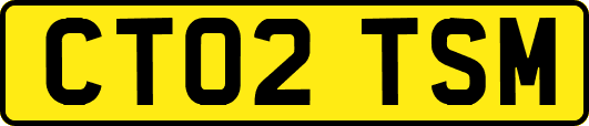 CT02TSM