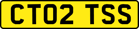 CT02TSS