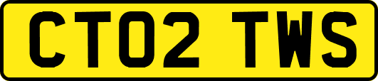 CT02TWS