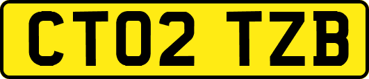 CT02TZB