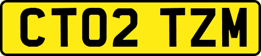 CT02TZM