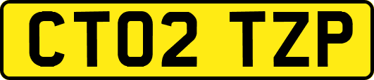 CT02TZP