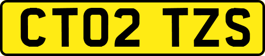 CT02TZS