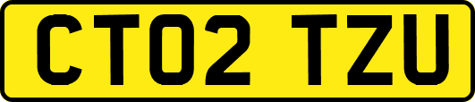 CT02TZU