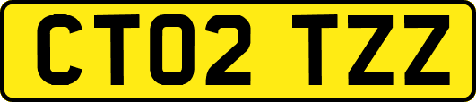 CT02TZZ