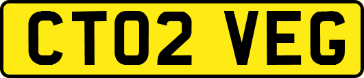CT02VEG
