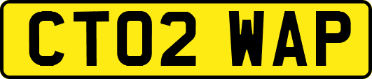 CT02WAP