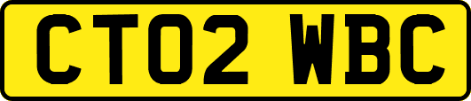 CT02WBC