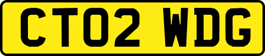 CT02WDG