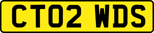 CT02WDS