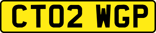 CT02WGP