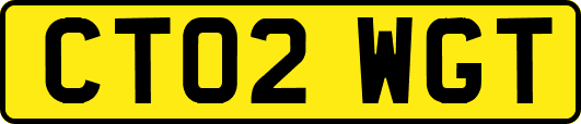 CT02WGT