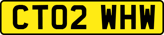 CT02WHW
