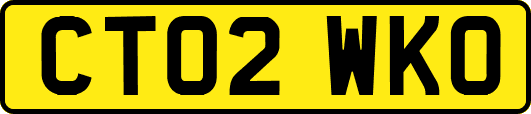 CT02WKO