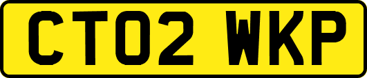 CT02WKP
