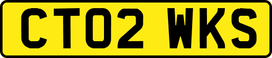 CT02WKS