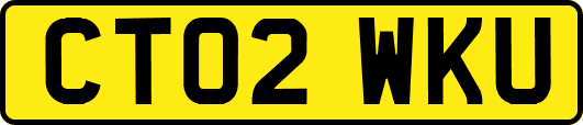 CT02WKU