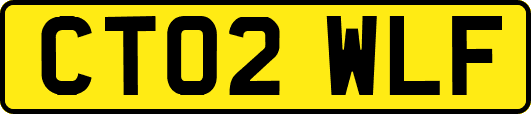 CT02WLF