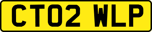 CT02WLP