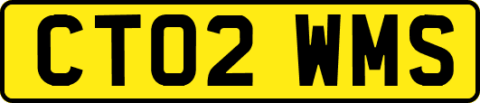CT02WMS