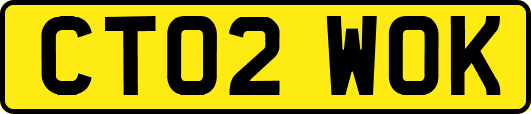 CT02WOK