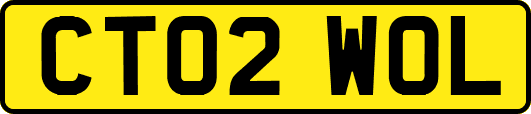 CT02WOL
