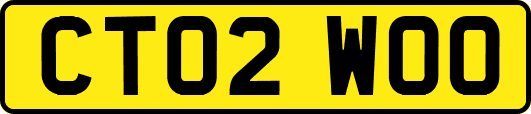 CT02WOO
