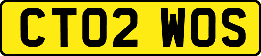 CT02WOS