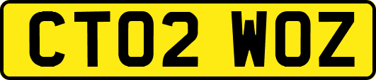 CT02WOZ