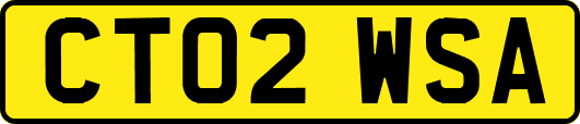 CT02WSA