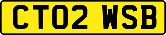 CT02WSB