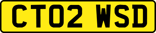 CT02WSD