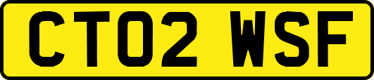 CT02WSF