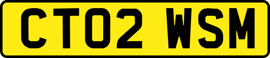 CT02WSM