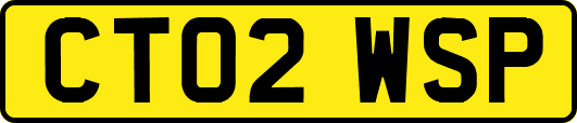 CT02WSP