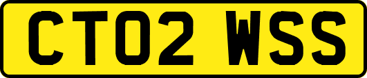 CT02WSS