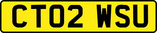 CT02WSU