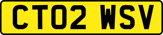 CT02WSV