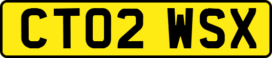CT02WSX