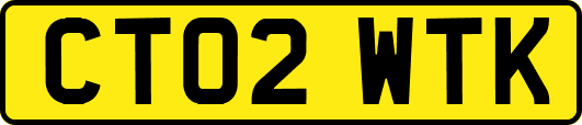 CT02WTK