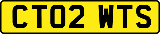CT02WTS
